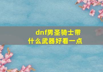 dnf男圣骑士带什么武器好看一点