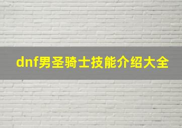 dnf男圣骑士技能介绍大全