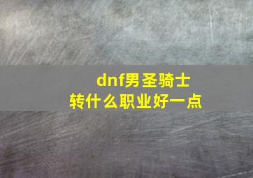 dnf男圣骑士转什么职业好一点