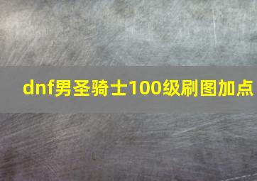 dnf男圣骑士100级刷图加点