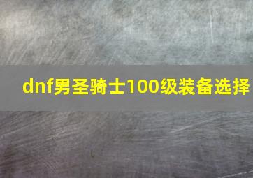 dnf男圣骑士100级装备选择