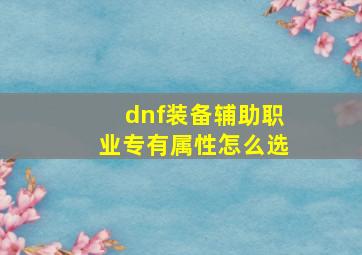 dnf装备辅助职业专有属性怎么选