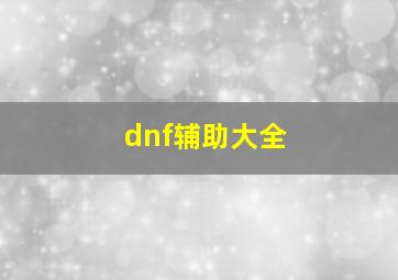 dnf辅助大全