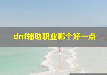 dnf辅助职业哪个好一点