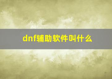 dnf辅助软件叫什么