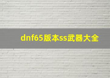 dnf65版本ss武器大全