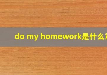 do my homework是什么意思