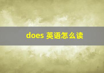 does 英语怎么读