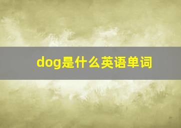 dog是什么英语单词