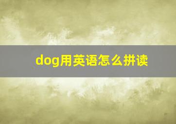 dog用英语怎么拼读