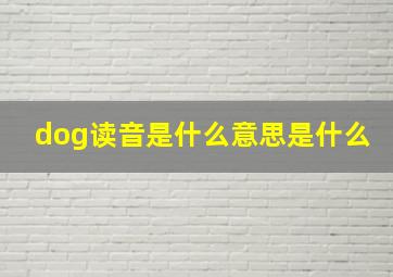 dog读音是什么意思是什么