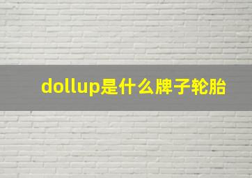 dollup是什么牌子轮胎