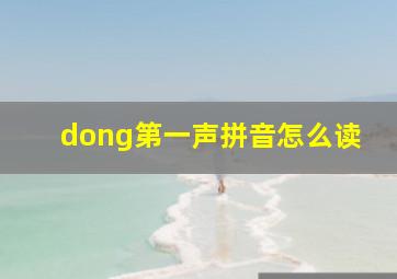 dong第一声拼音怎么读