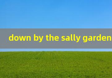 down by the sally gardens小提琴