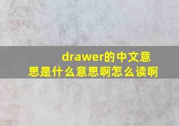 drawer的中文意思是什么意思啊怎么读啊