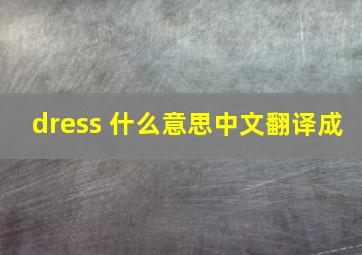 dress 什么意思中文翻译成