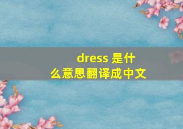 dress 是什么意思翻译成中文