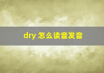 dry 怎么读音发音