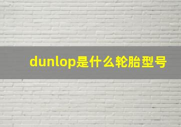 dunlop是什么轮胎型号