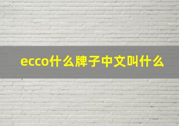 ecco什么牌子中文叫什么