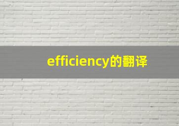 efficiency的翻译