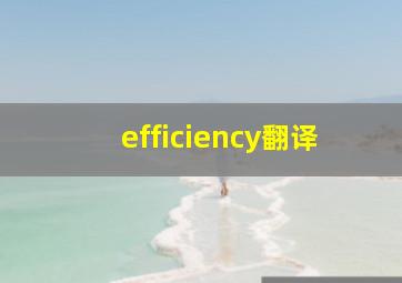 efficiency翻译