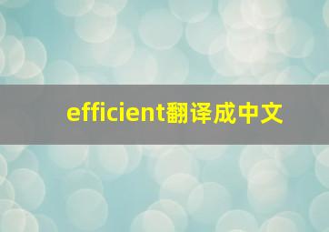 efficient翻译成中文