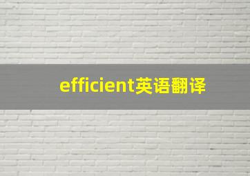 efficient英语翻译