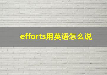 efforts用英语怎么说