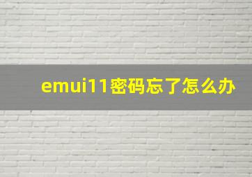 emui11密码忘了怎么办