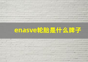 enasve轮胎是什么牌子