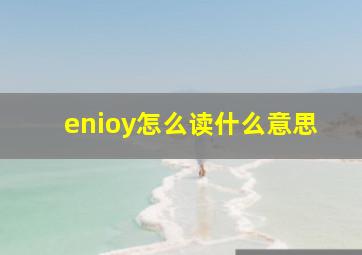 enioy怎么读什么意思