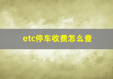 etc停车收费怎么查