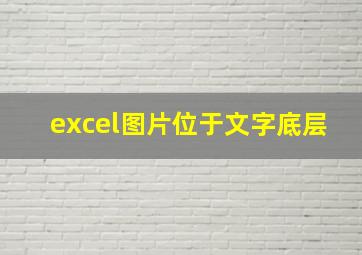 excel图片位于文字底层