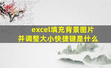 excel填充背景图片并调整大小快捷键是什么