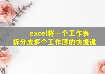 excel将一个工作表拆分成多个工作簿的快捷键