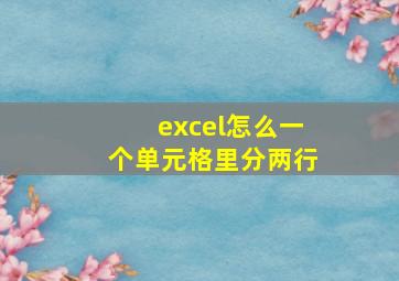 excel怎么一个单元格里分两行