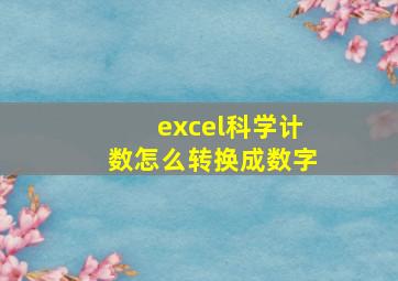 excel科学计数怎么转换成数字