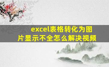 excel表格转化为图片显示不全怎么解决视频