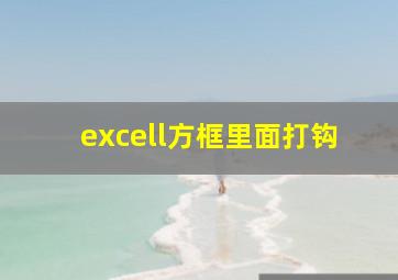 excell方框里面打钩