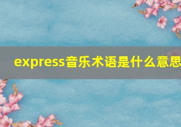 express音乐术语是什么意思