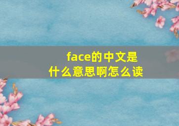 face的中文是什么意思啊怎么读