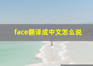 face翻译成中文怎么说