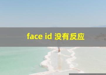 face id 没有反应