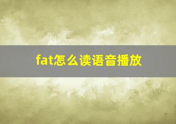 fat怎么读语音播放