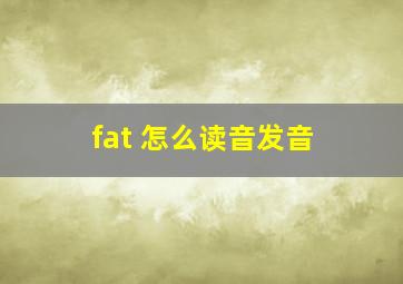 fat 怎么读音发音