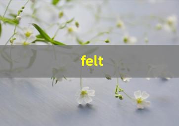 felt