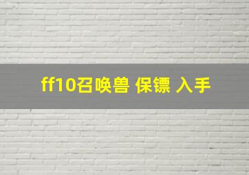 ff10召唤兽 保镖 入手