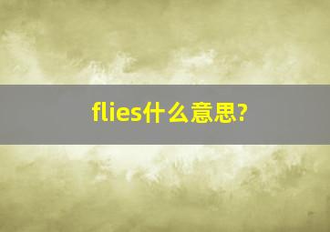 flies什么意思?