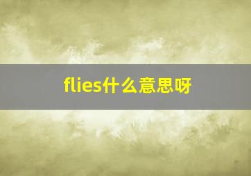 flies什么意思呀